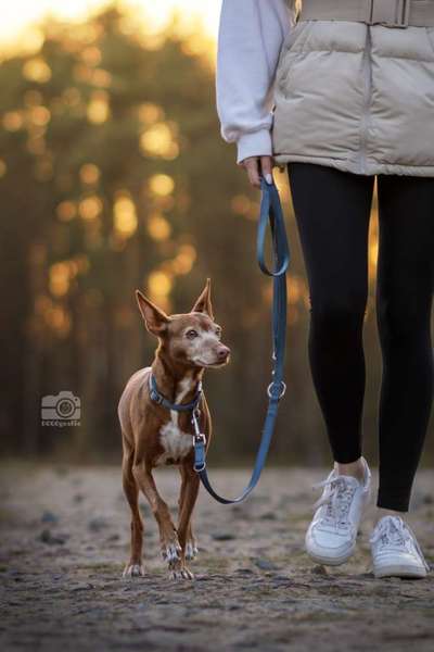 %{de_profession_title}-Fotowalk-Bild