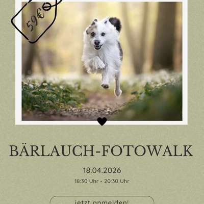 %{de_profession_title}-Bärlauch Fotowalk-Bild