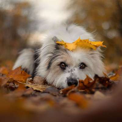 %{de_profession_title}-Standard-Shooting-Bild