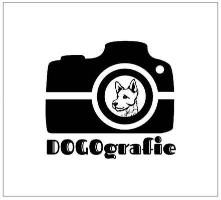 Tierfotografen-DOGOgrafie-Bild