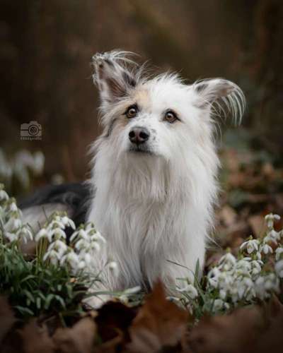 %{de_profession_title}-Location-Scout-Bild