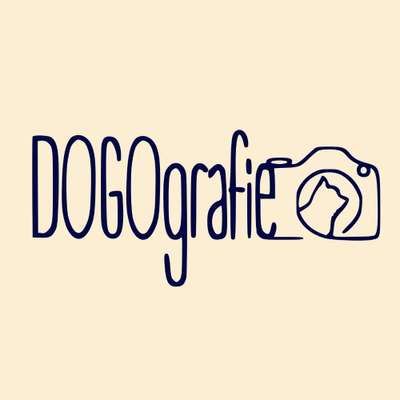 Tierfotografen-DOGOgrafie-Bild