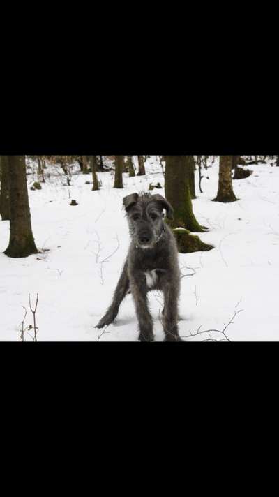 Sie werden so schnell erwachsen ...-Beitrag-Bild