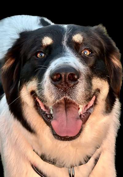 Fotochallenge Nr.122-Beitrag-Bild