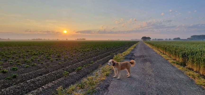 Zeigt eure schönsten Sommerbilder-Beitrag-Bild