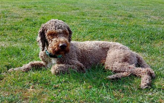 Ist das ein...?-Beitrag-Bild