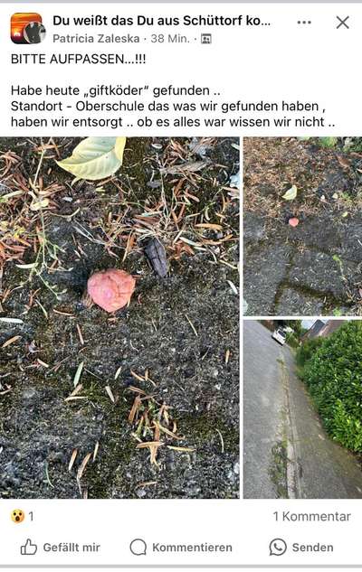 Giftköder-Giftköder-Bild