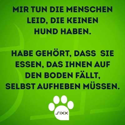 Hunde Memes-Beitrag-Bild