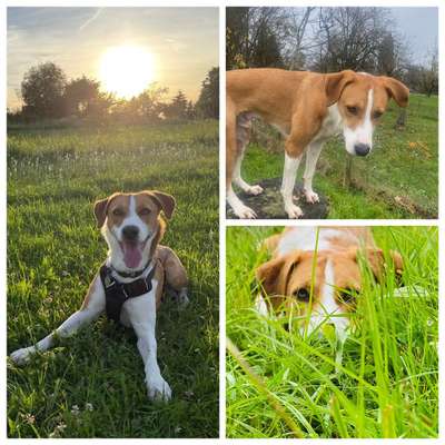 23. Collagen-Challenge: Portraits-Beitrag-Bild