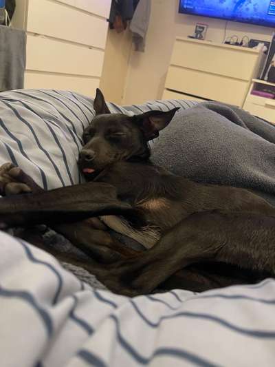 Foto Challenge Nr. 134-Beitrag-Bild