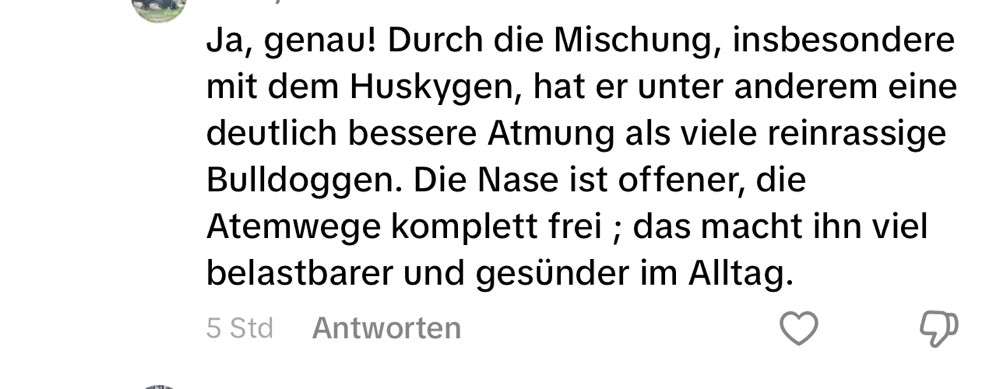 Qualzucht - Warum Aufklärung alleine nicht reicht-Beitrag-Bild