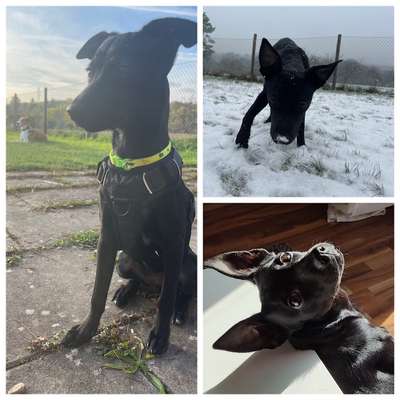 23. Collagen-Challenge: Portraits-Beitrag-Bild