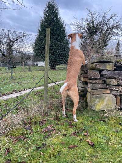 Fotochallenge 129-Beitrag-Bild