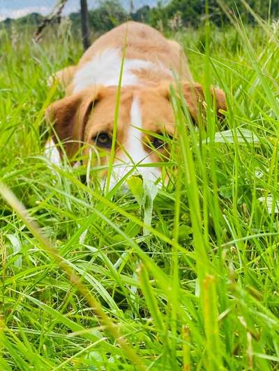 Farben Fotochallenge Thema ,,Grün"-Beitrag-Bild