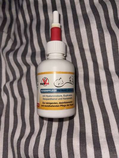 Bindehautentzündung (Konjunktivitis) - Augenlider wurden ausgeschabt-Beitrag-Bild