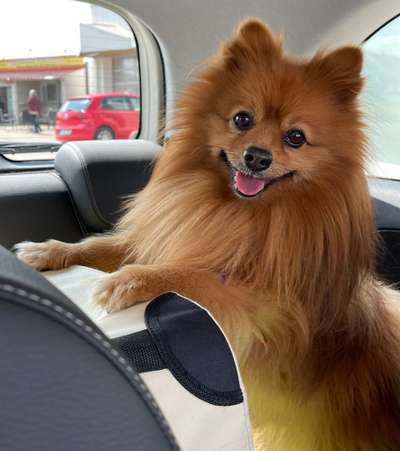 117. Fotochallenge-Beitrag-Bild