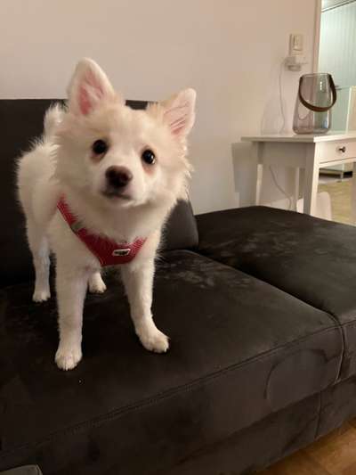 Erstes Bild-Beitrag-Bild