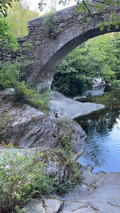 Dogorama Photo Challenge - Brücken-Beitrag-Bild