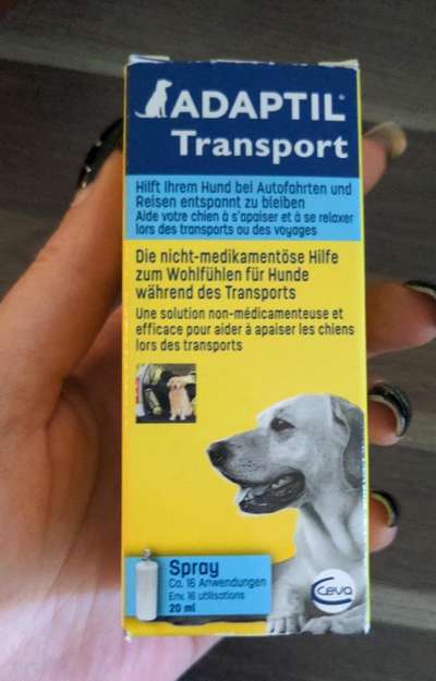 Hundetrainer*in gesucht-Beitrag-Bild