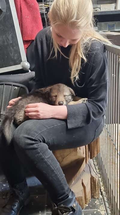 Foto Challenge 82-Beitrag-Bild