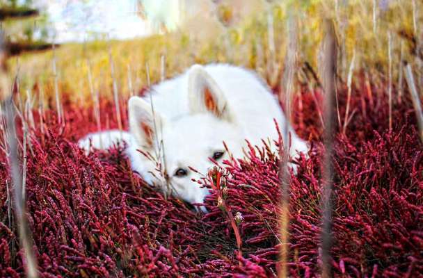 Lieblingsbild :D-Beitrag-Bild