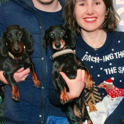 Hundetreffen-Dackel und andere kleine Hundetreffen für Spaziergänge oder andere Hundeaktivitäten gesucht 🤭🐶🐾