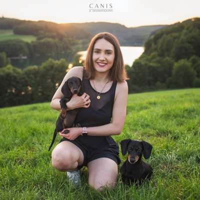 Hundetreffen-Dackel und andere kleine Hundetreffen für Spaziergänge oder andere Hundeaktivitäten gesucht 🤭🐶🐾