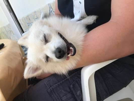 Die unbequemsten und lustigsten Schlafpositionen-Beitrag-Bild