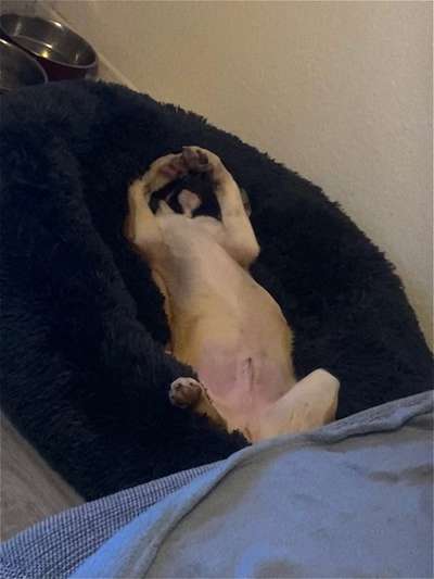 Die unbequemsten und lustigsten Schlafpositionen-Beitrag-Bild