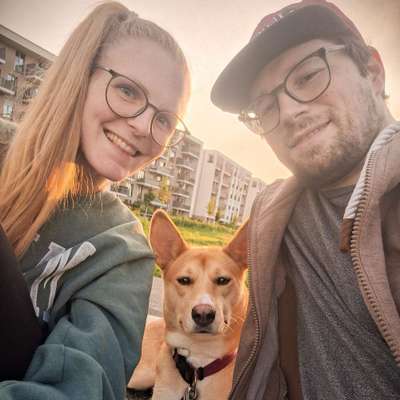 Hundetreffen-Gassirunde & neue Hundefreunde-Profilbild