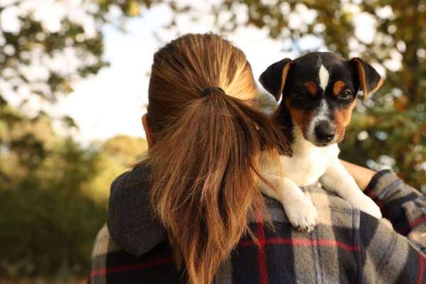 Welpen Bilder !-Beitrag-Bild