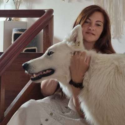 Hundetreffen-Spazieren,spielen ,Spaß haben