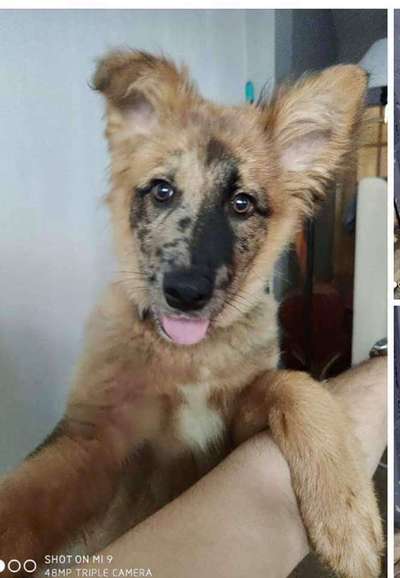 Erstes Bild-Beitrag-Bild