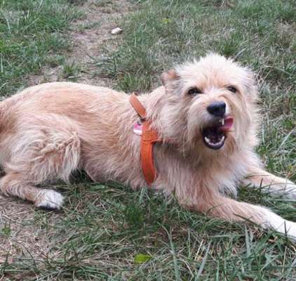 Ist das ein...?-Beitrag-Bild