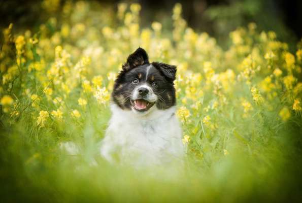 Ist das ein...?-Beitrag-Bild