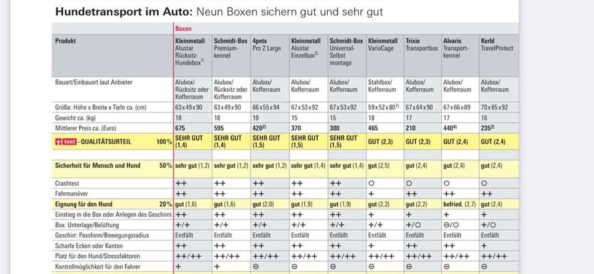 Auffahrunfall mit Hund im Kofferraum-Beitrag-Bild
