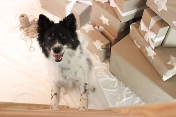 57. Handy Foto Challenge - klettern-Beitrag-Bild