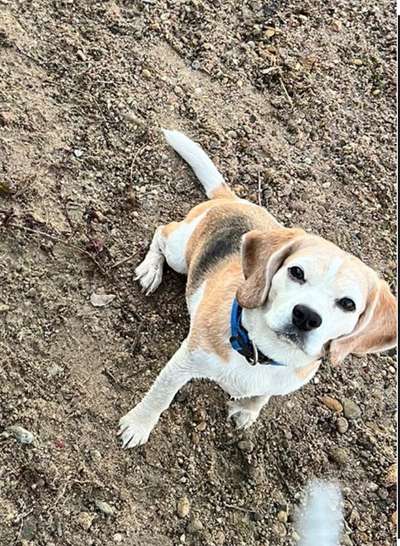 Ist das ein...?-Beitrag-Bild