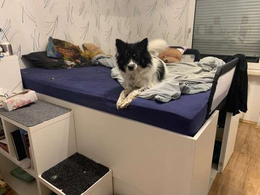 Gemeinsames Kuscheln im Bett!-Beitrag-Bild