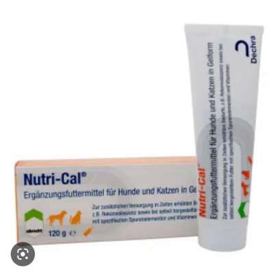 Borreliose-Beitrag-Bild