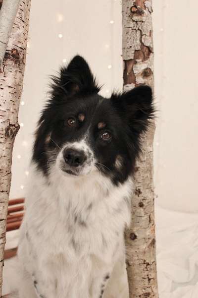 Fotochallange Nr. 57     PORTRÄT.   Beendet!!!!!!!!-Beitrag-Bild