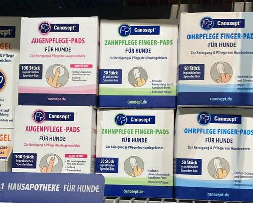 Welpen Erstausstattung Tipps-Beitrag-Bild