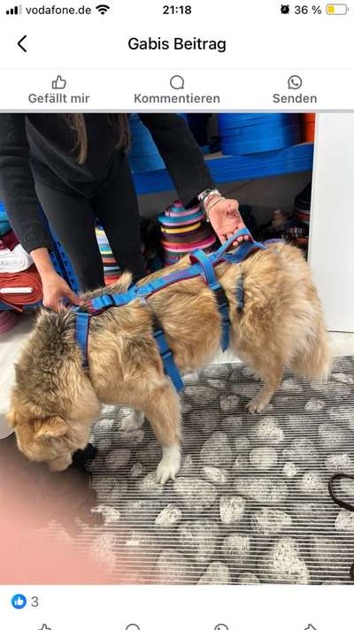 Arthrose/ Treppe-Beitrag-Bild