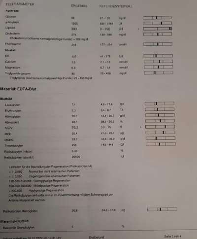 Seelisch Moralische Unterstützung-Beitrag-Bild