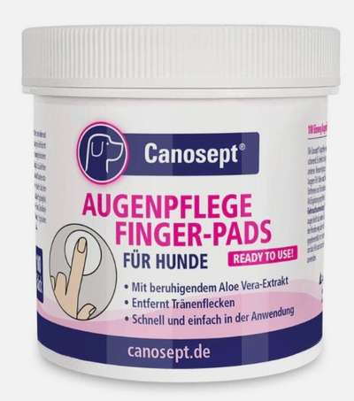 Malteser Tränenflecken-Beitrag-Bild