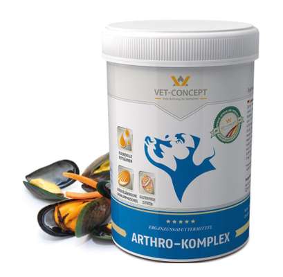 Grünlippmuschel-Beitrag-Bild