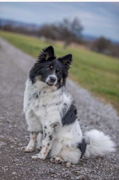 Ist das ein...?-Beitrag-Bild