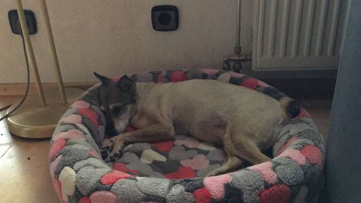 Ist das ein...?-Beitrag-Bild