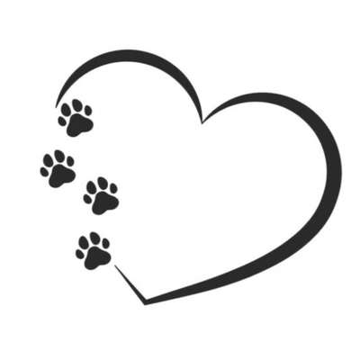 Hundetreffen-Gemeinsame Spaziergang & Training  🐕🚶‍♀️ 🐕