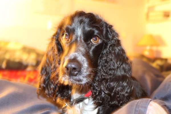 Austausch zur Fotografie-Beitrag-Bild